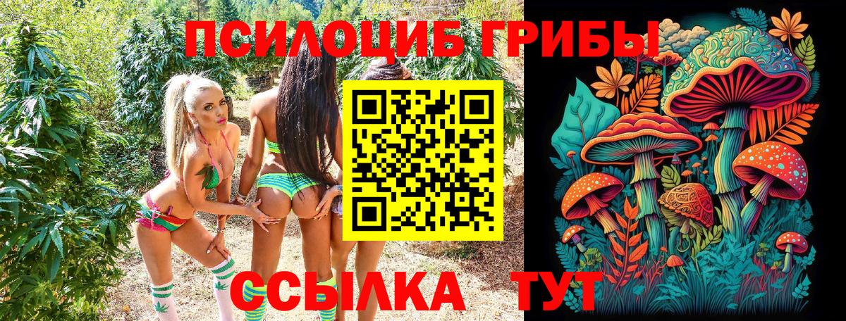 Ахтубинск  Галлюциногенные грибы прущие грибы  Вход с VPN  Галлюциногенные грибы Magic Shrooms 