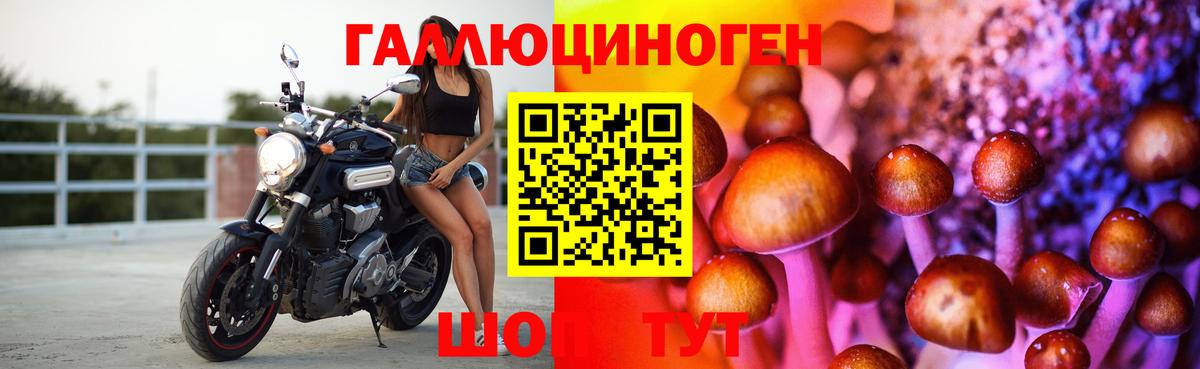 Псилоцибиновые грибы Cubensis Ахтубинск